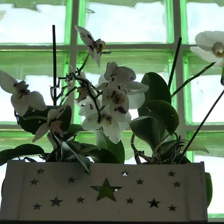 A 2 Passi Dagli Dei 4* Аджерола