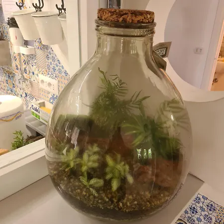 A 2 Passi Dagli Dei 4*